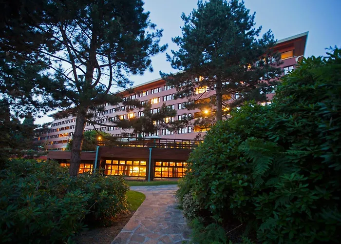 Disney Sequoia Lodge