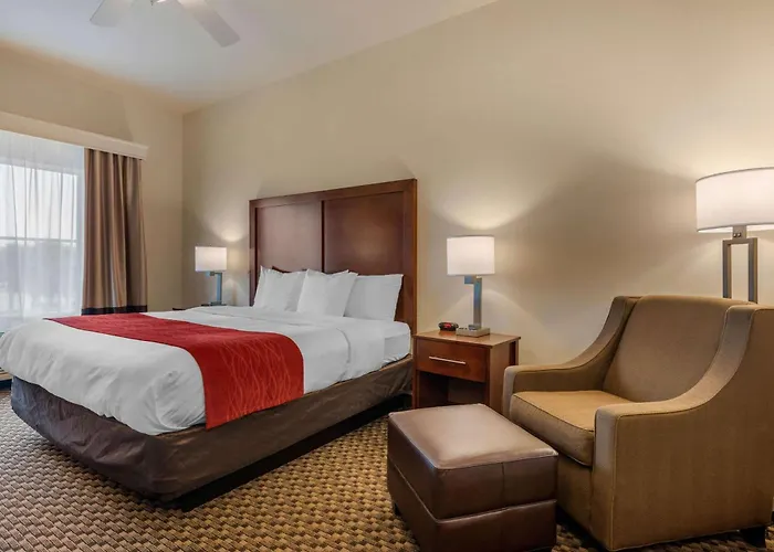 Comfort Inn & Suites Fort Myers Airport
