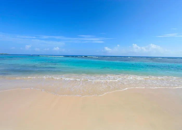 Bahia Principe Explore Jamaica (Adults Only)