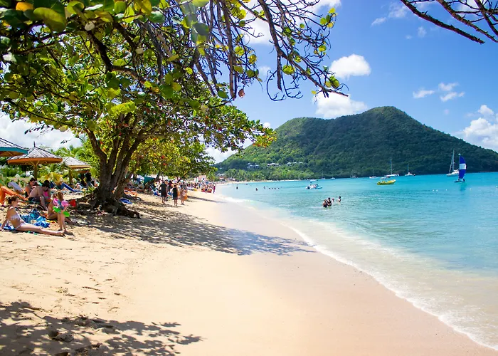 Bay Gardens Beach Resort And Spa