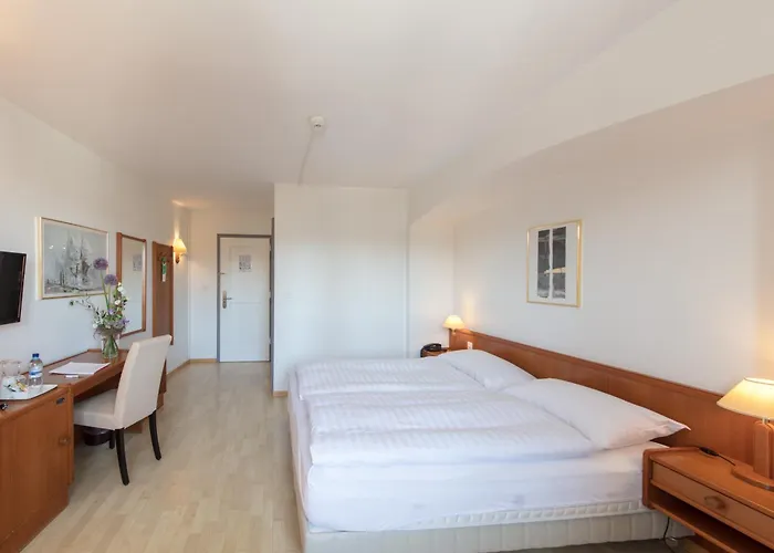 Hotel De La Rose Freiburg im Üechtland