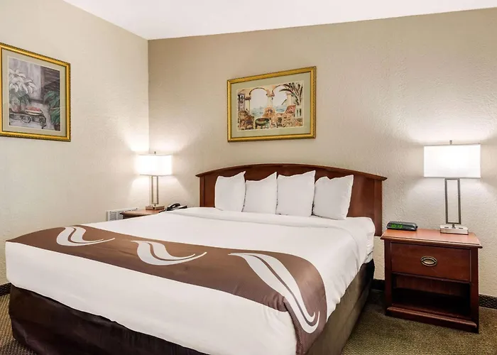 Quality Inn & Suites Tarpon Springs South