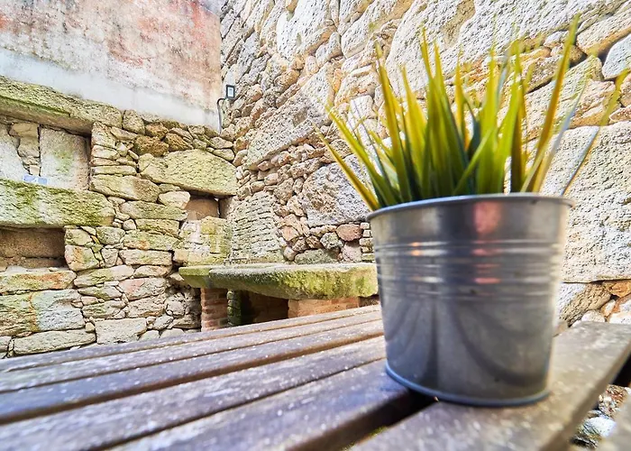 La casita de Singulis