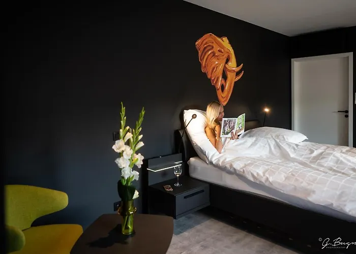 Boutique Hôtel, La Cour de la Reine&Rooftop