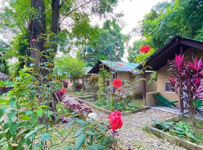 Nature Safari Camp
