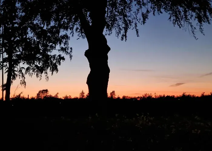 Birkelund BnB