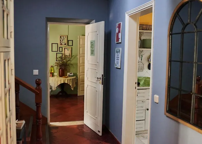 Eco Ljmonade Hostel