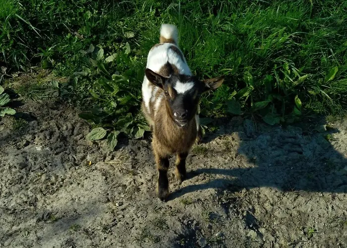 eco nature, gite à la ferme