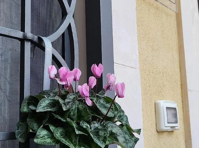 Il Cortile Della Patrona