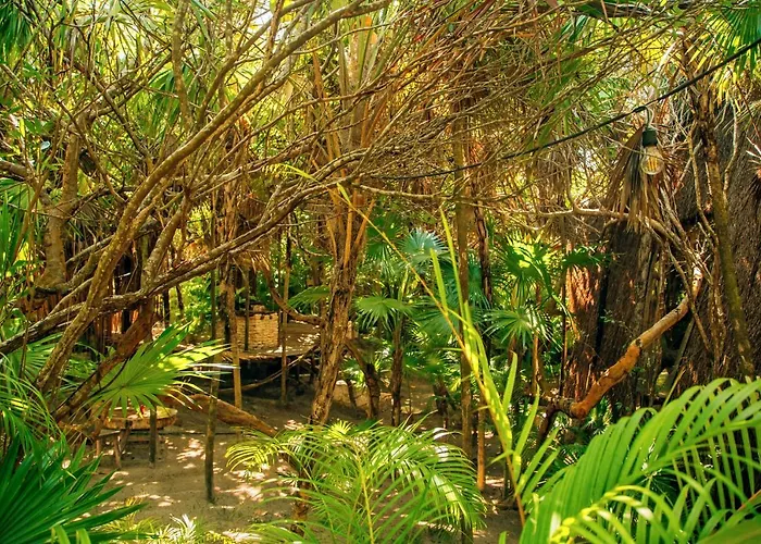 Ikal Tulum Hotel