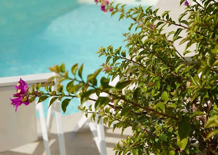 Mon Repos Palace - Adults Only