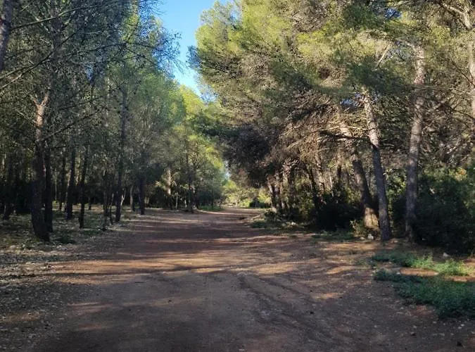 La Rose des Sables, T2 à la mer, terrasse et garage