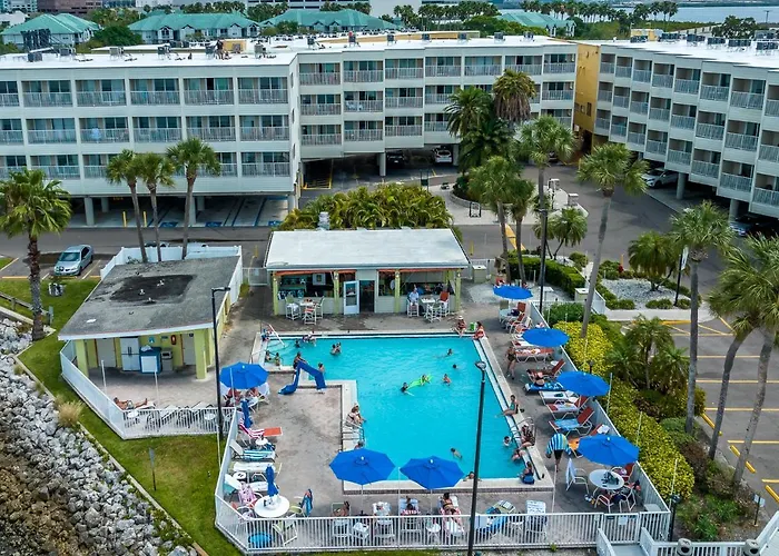 Sunset Paradise - Find Yourself In Tampa