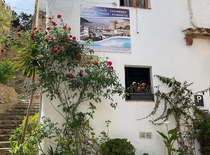 P&R Hostals Codolar