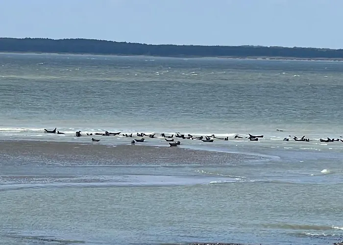 Plage à 50m Appartement Rêves ensablés Villa Les Bains de Mers