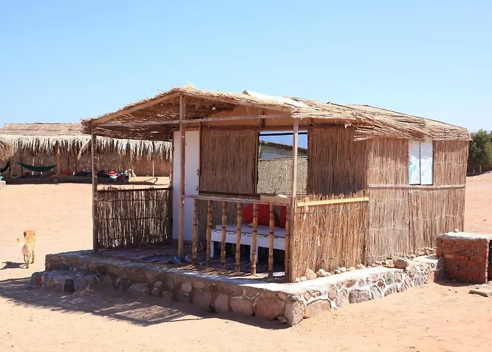New Droub Camp