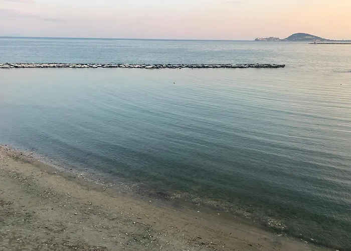 Il nido dell’albatros