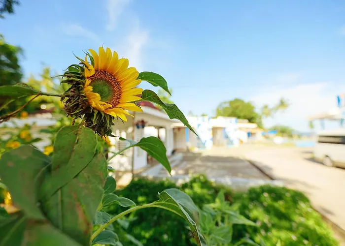 B Ternate Resort