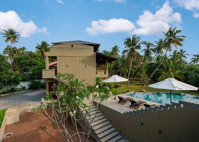 Kiss Blossom
