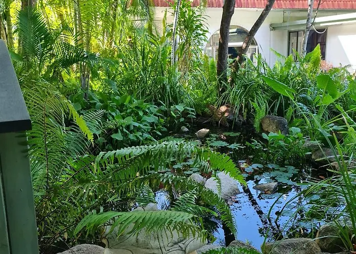 Island Serenity On Magnetic Island