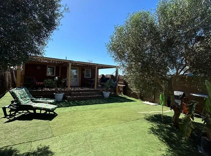 Ohana Palmar