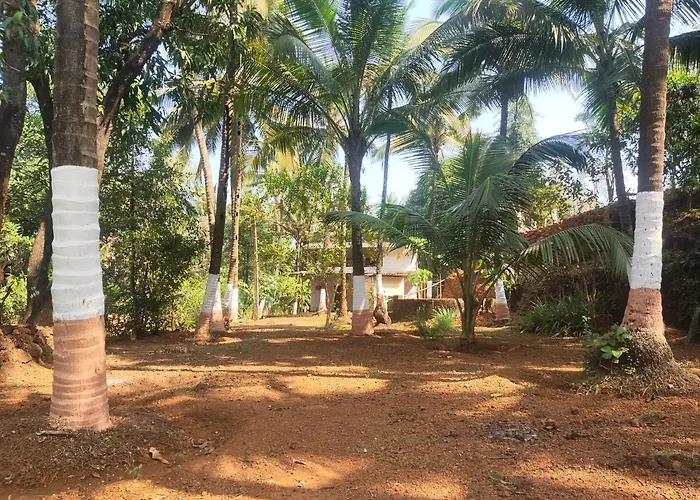 A Latent Farm Stay