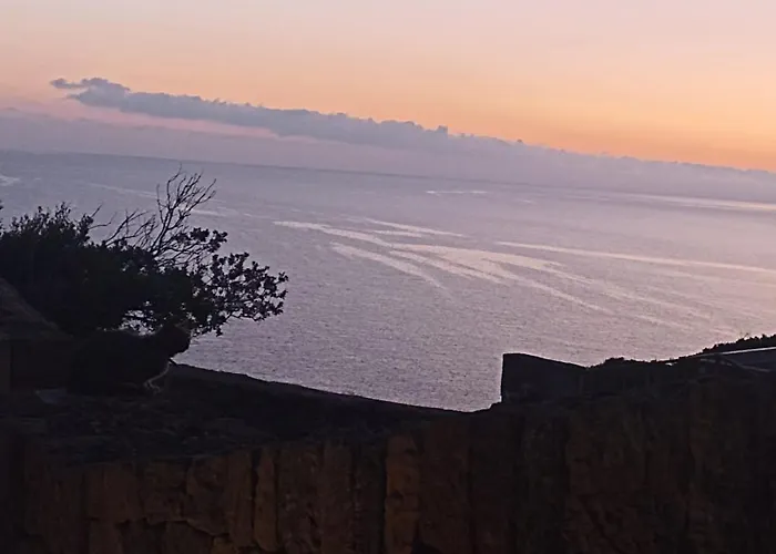 Nido sul mare