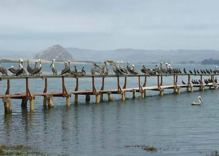 Harbor House In Morro Bay