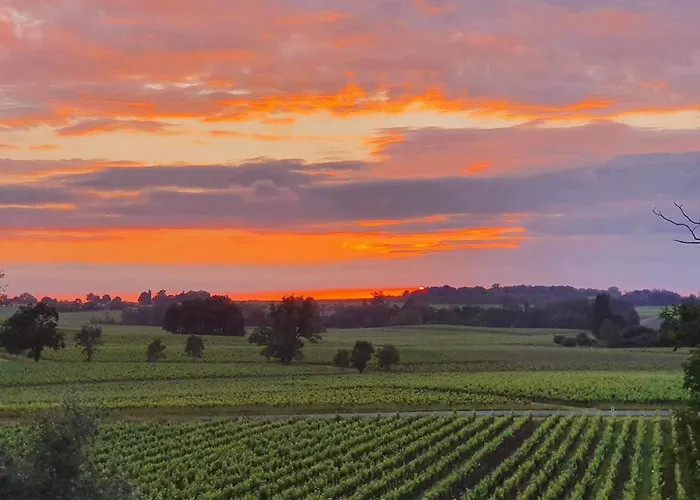 Demeures & Chateau - Fleur De Roques - Puisseguin Saint Emilion