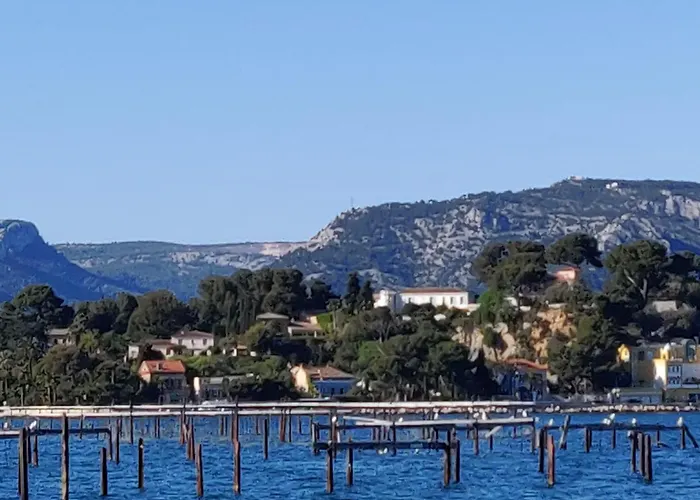Amadeus Guest House - Chambres d'Hôtes