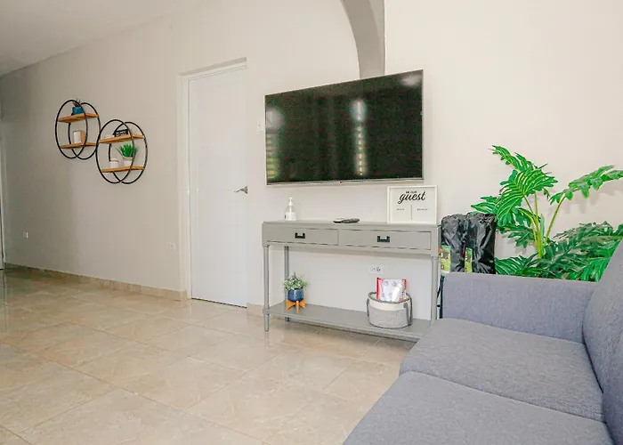 Ecomar Rentals