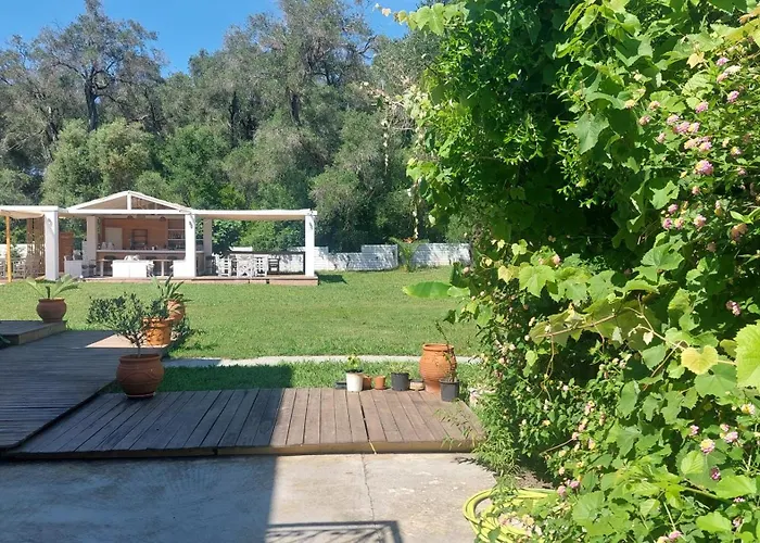 Amelia'S Garden