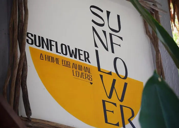 Sunflower Guesthouse And Animal Rescue - Koh Lipe