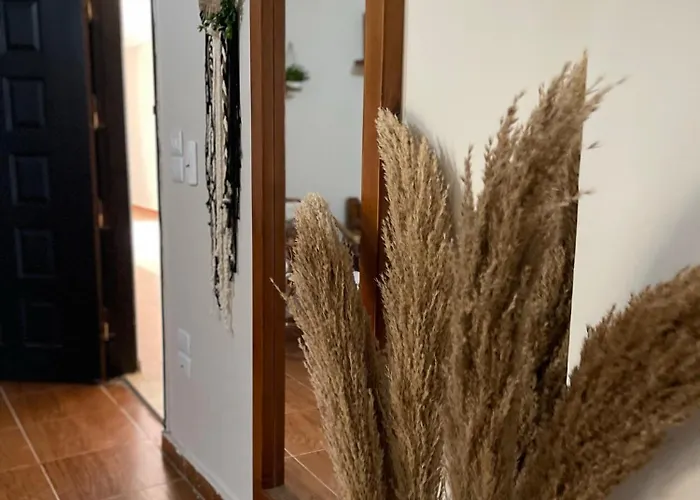La Casa Budget