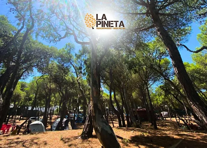 Agricampeggio La Pineta