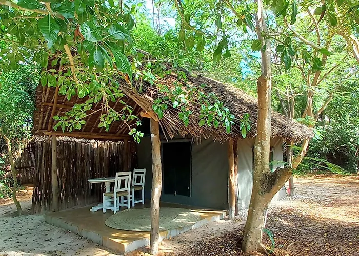 Bamba Kofi Beach Lodge