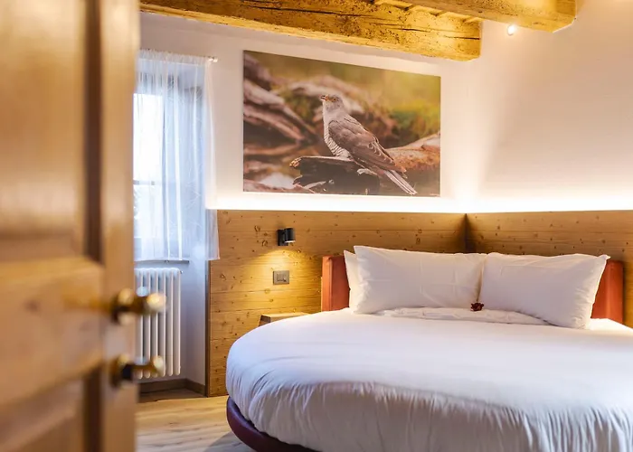 Granduca Mountain Wellness Apartments Campigna