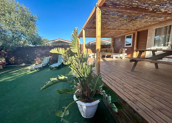 Ohana Palmar