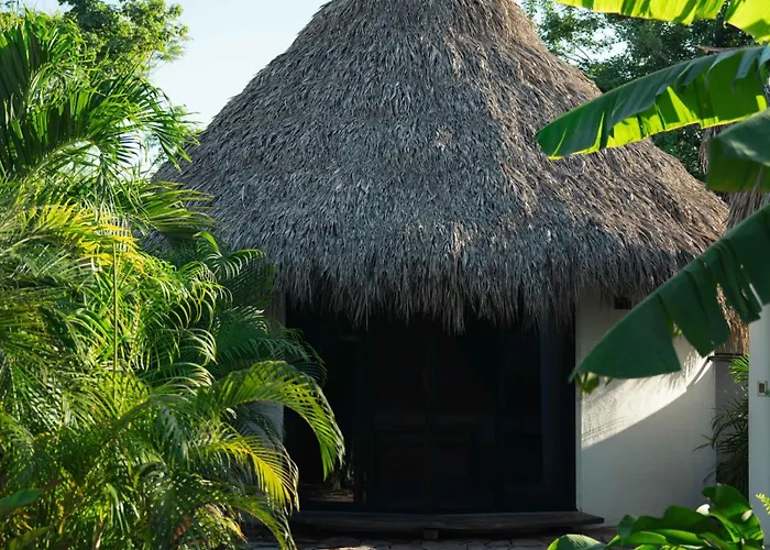 Casa Mexibali, Palapa Queen