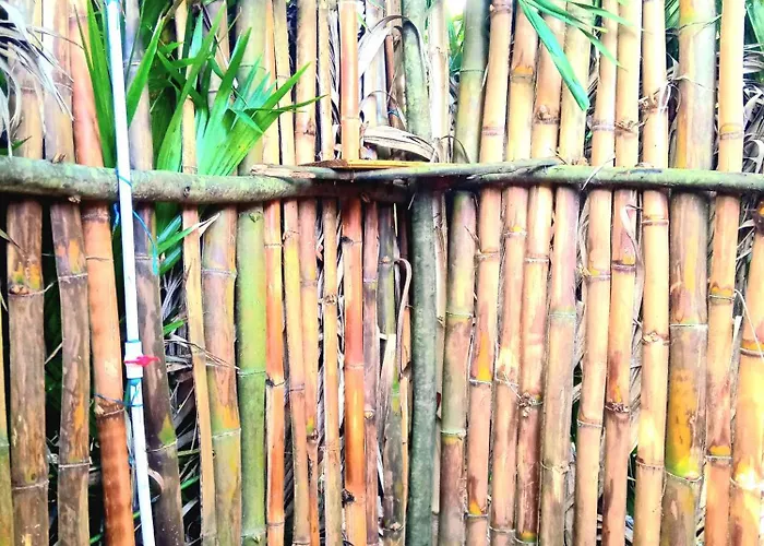 La Familia Guest House And Natural Farm