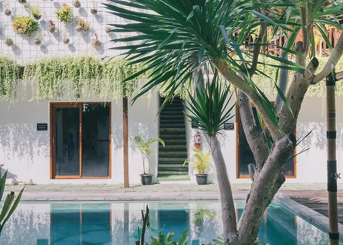 The Farm Canggu Party Hostel