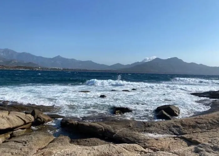 Coeur De Calvi