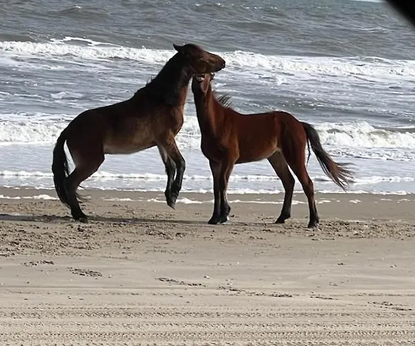 Wild Horse Inn
