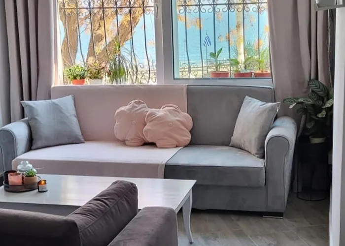Margarita'S House 2