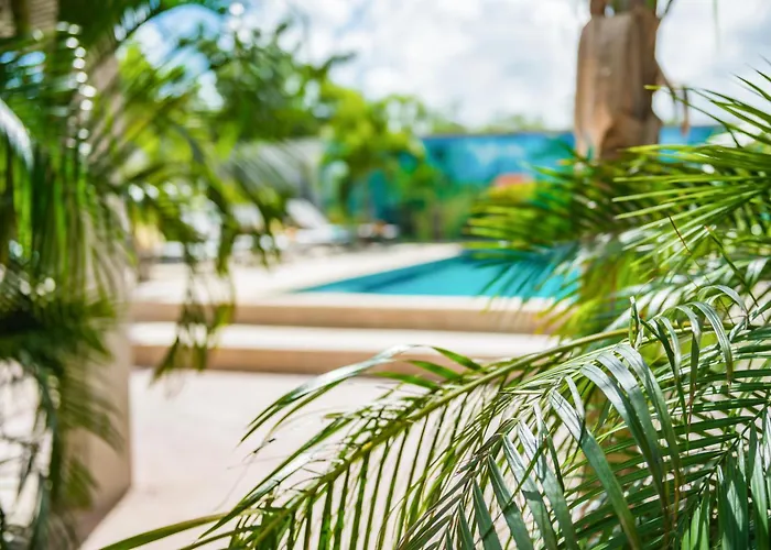 Casita Palma By Boutique Bonaire Unique Resorts