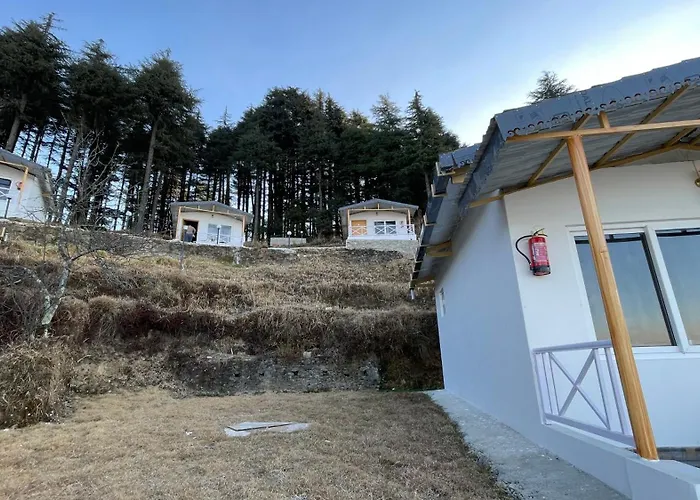 The Deodar Stays