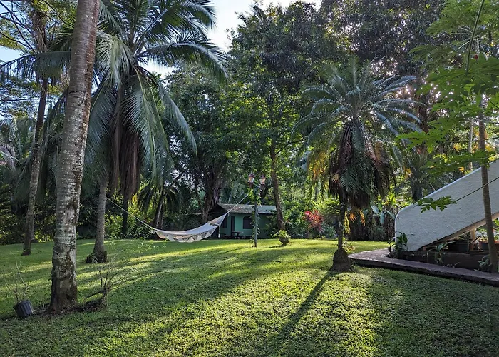 Spirit Of Jungle Lodge