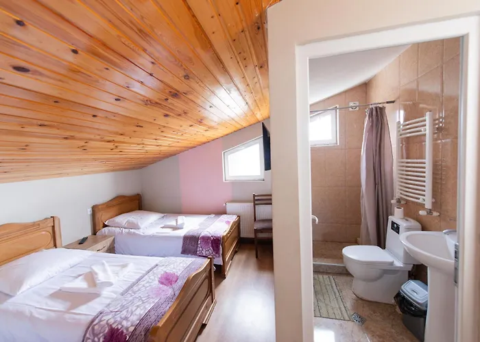 Hotel Zemo Aragvi