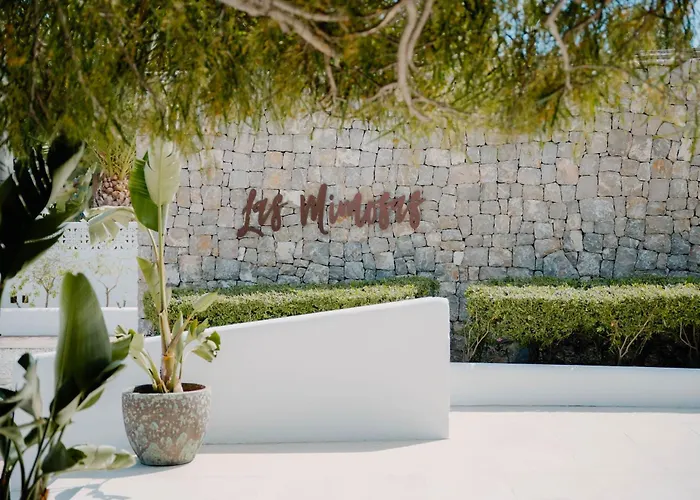Hotel Boutique & Spa Las Mimosas Ibiza (Adults Only)