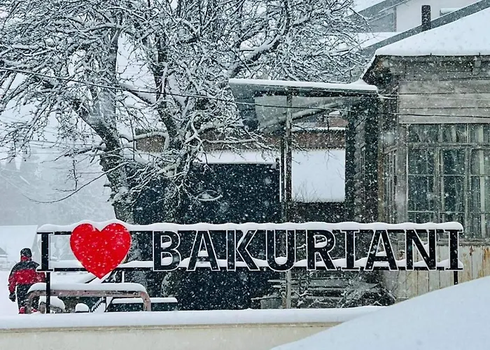 Hotel King David Bakuriani Mountain View
